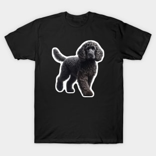 American Water Spaniel T-Shirt